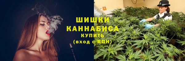 стафф Корсаков