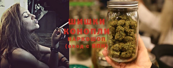 прущие грибы Костерёво