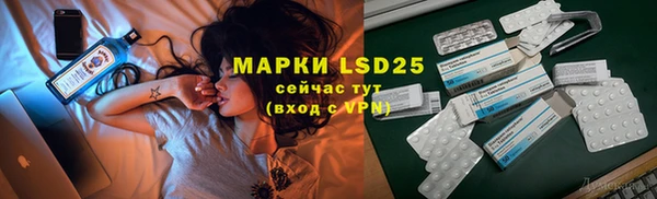 стафф Корсаков