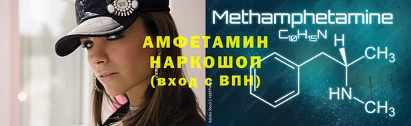прущие грибы Костерёво