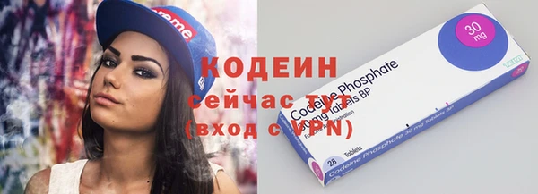прущие грибы Костерёво
