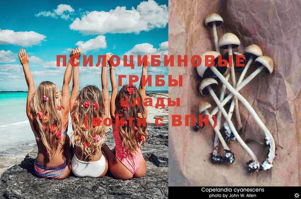 гашиш Коряжма