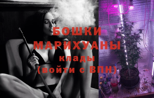 стафф Корсаков
