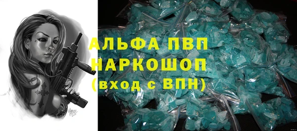 прущие грибы Костерёво
