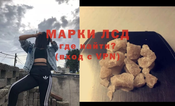 прущие грибы Костерёво