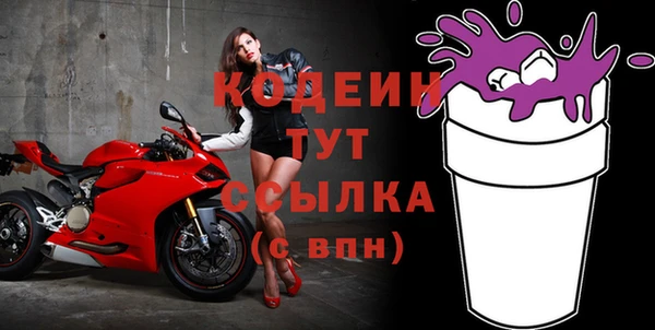стафф Корсаков