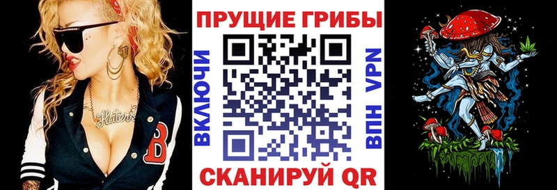 Купить  Крым  Псилоцибиновые грибы прущие грибы 